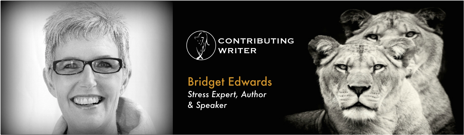 Bridget_Edwards_Banner.png