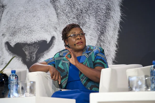 100 LIONESSES: Featuring Divine Ndhlukula, founder of SECURICO a market leader in the Zimbabwean security services industry