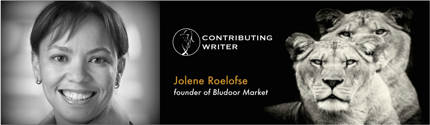 Jolene_Roelofse_Banner.jpg.png