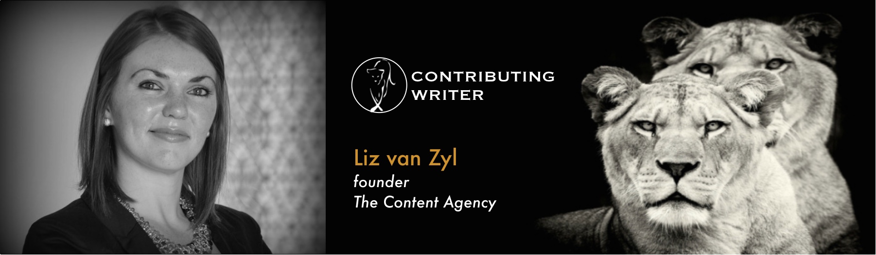 Liz van Zyl_LoA_BloggerBanner.jpg