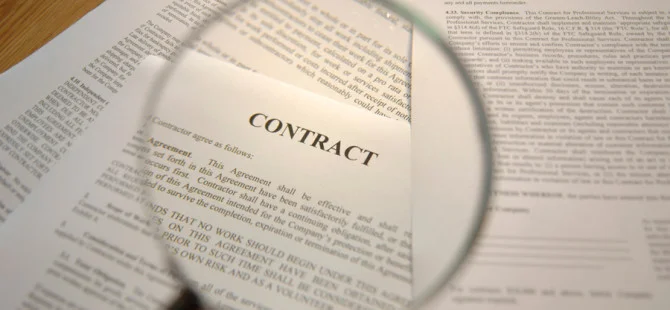 Lionesses and the Law - Contractual terms explained