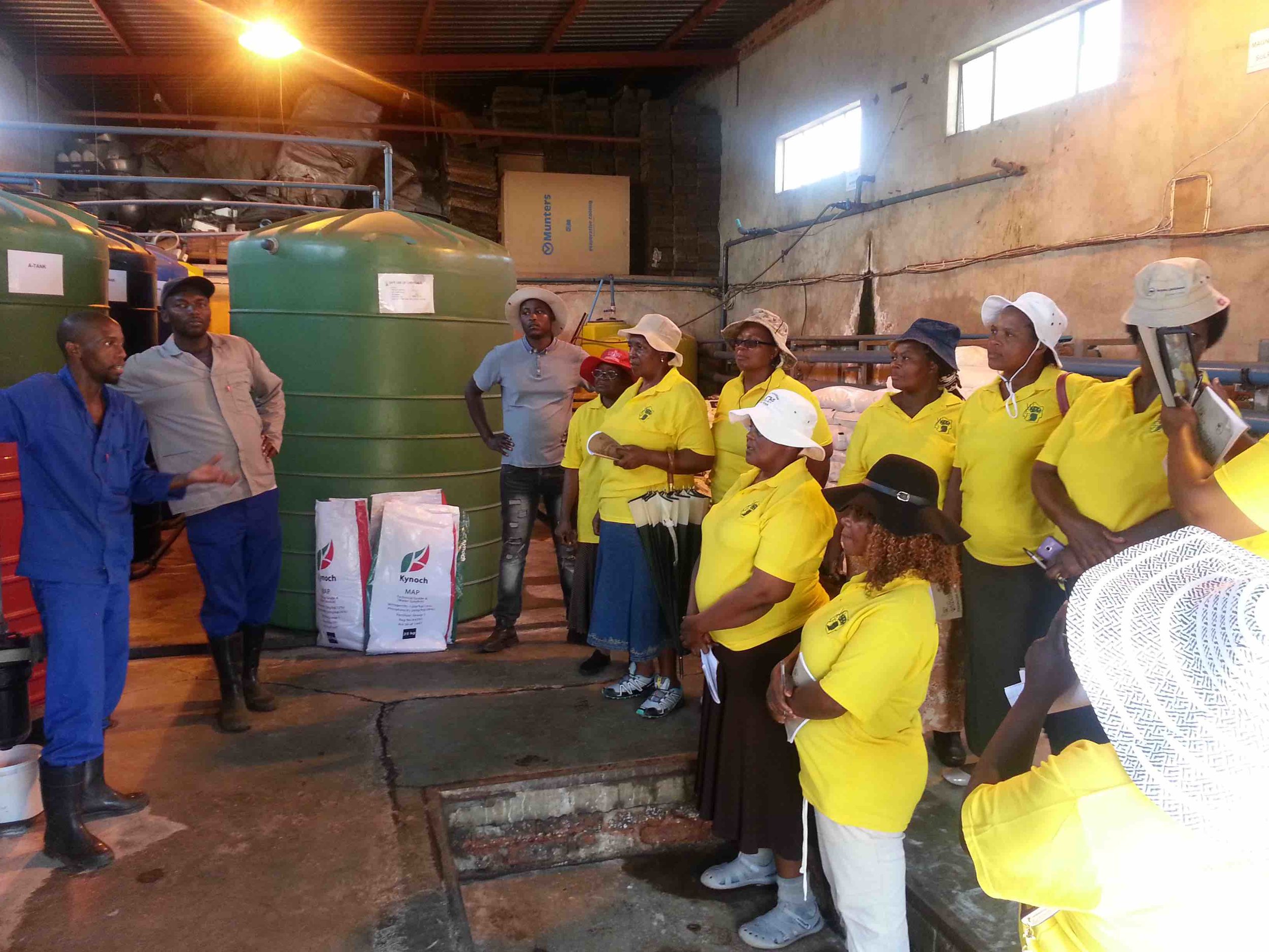 WOMAN FARMER FOUNDATION COMPETITION BENEFICIARIES AT QUTOM FARMS SOUTH AFRICA ON AN EXPOSURE VISIT.jpg