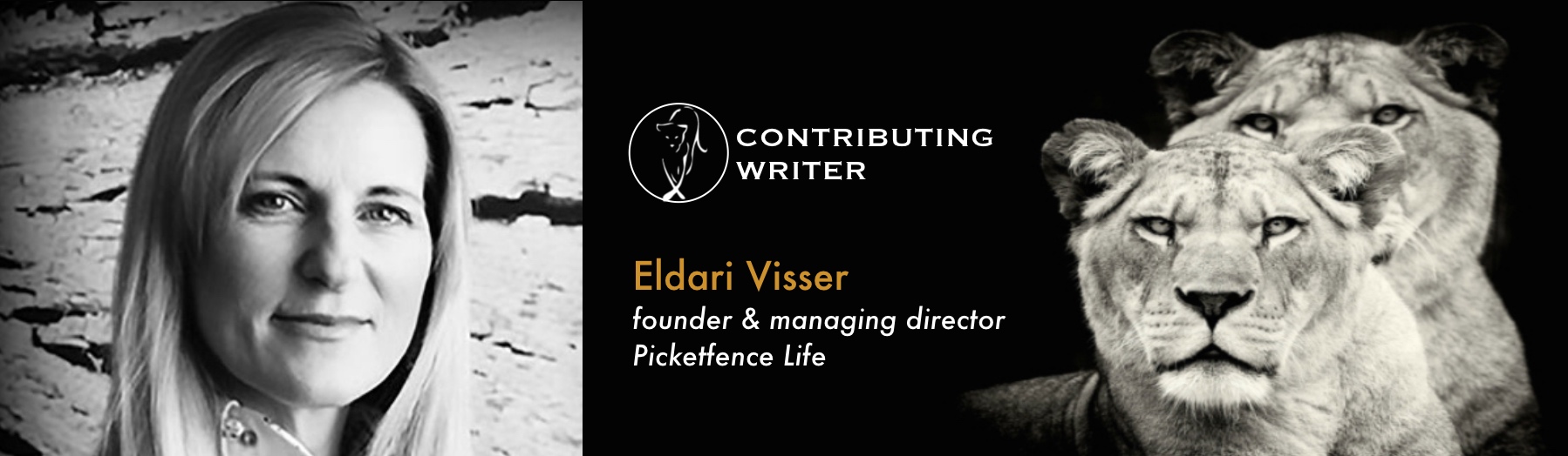Eldari_Visser_Banner.jpg