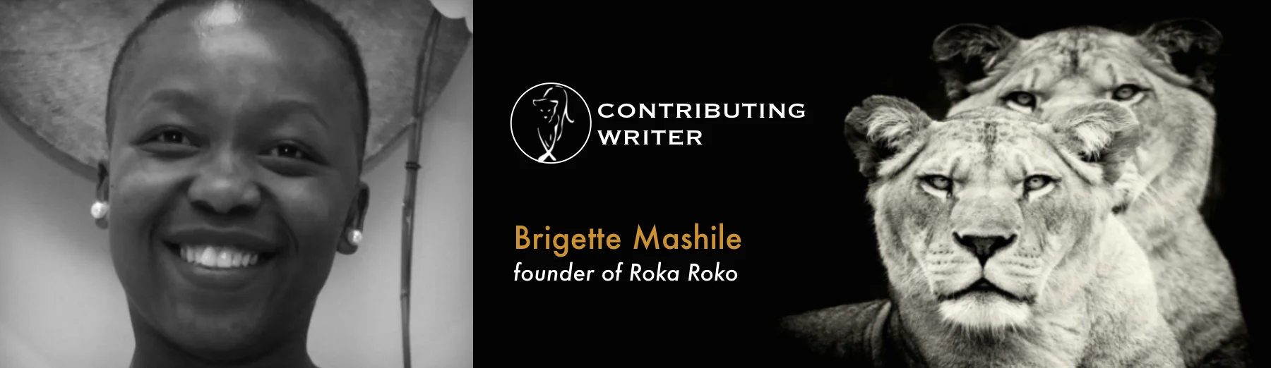 Brigette-Mashile-Banner.jpg
