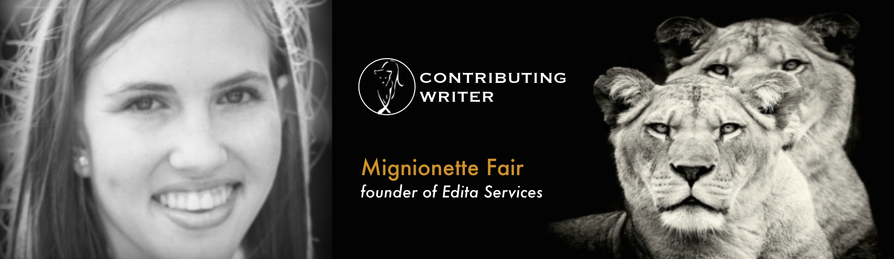 Mignionette-Fair_Banner.png