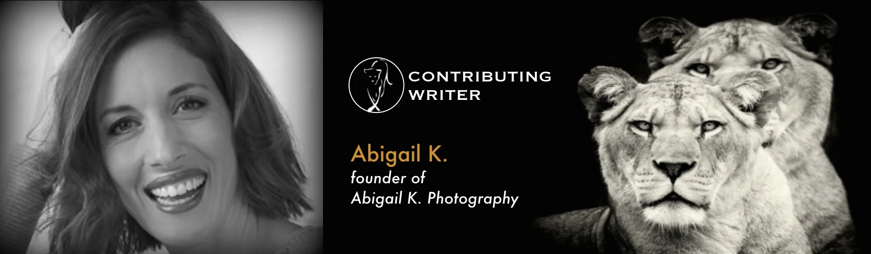 Abigai-k-banner.jpg