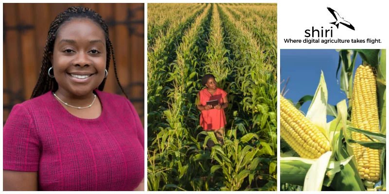 Tatenda Ndambakuwa, a Zimbabwean entrepreneur helping farmers become more productive through app development and data science