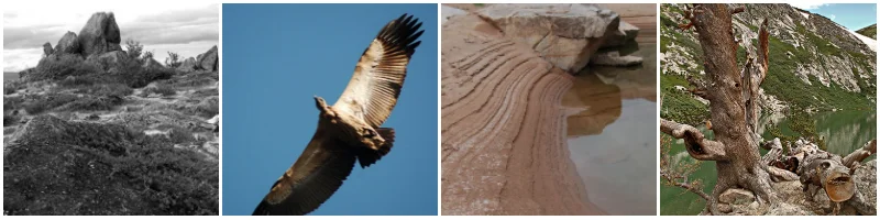 PicMonkey Collage-39.jpg