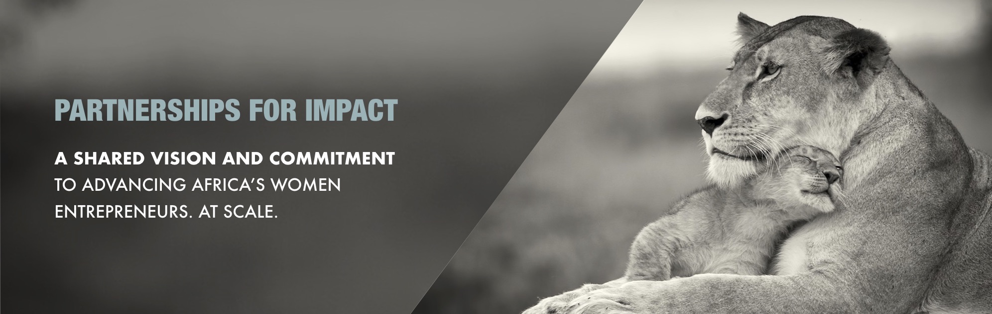LOA-IMPACT-PARTNER-BANNER.jpg