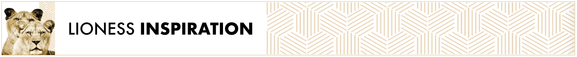 Lioness-Inspiration-Banner.png