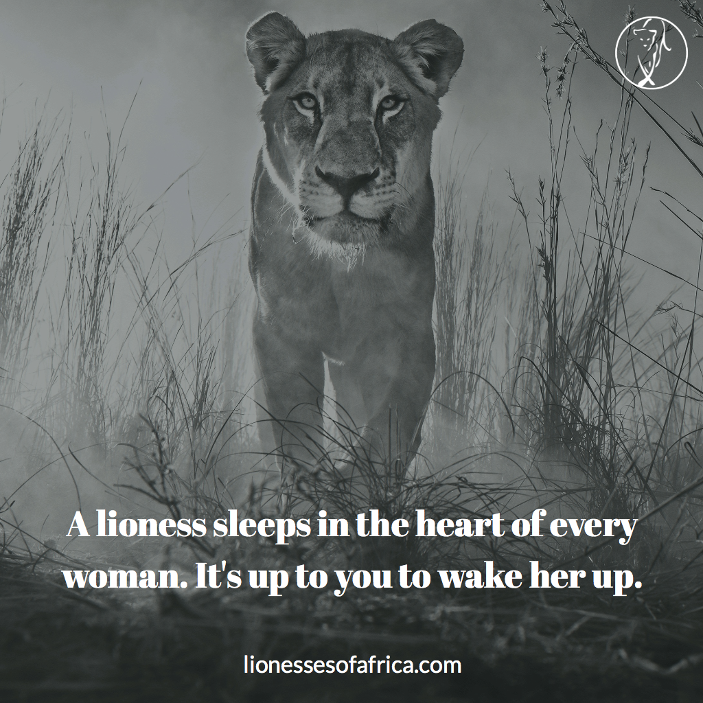 LOA-pic-quote.png