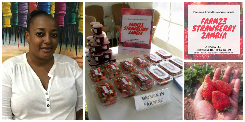 Bupe Chipili Mulapesi, a Zambian agripreneur turning her passion for strawberry growing into a thriving business in the country