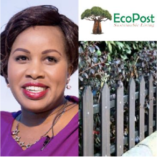 Meet 9 African women entrepreneurs creatively fighting the war on ...