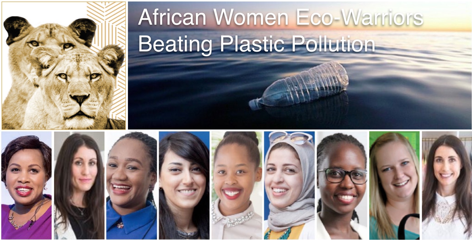 Eco-Warriors.jpg