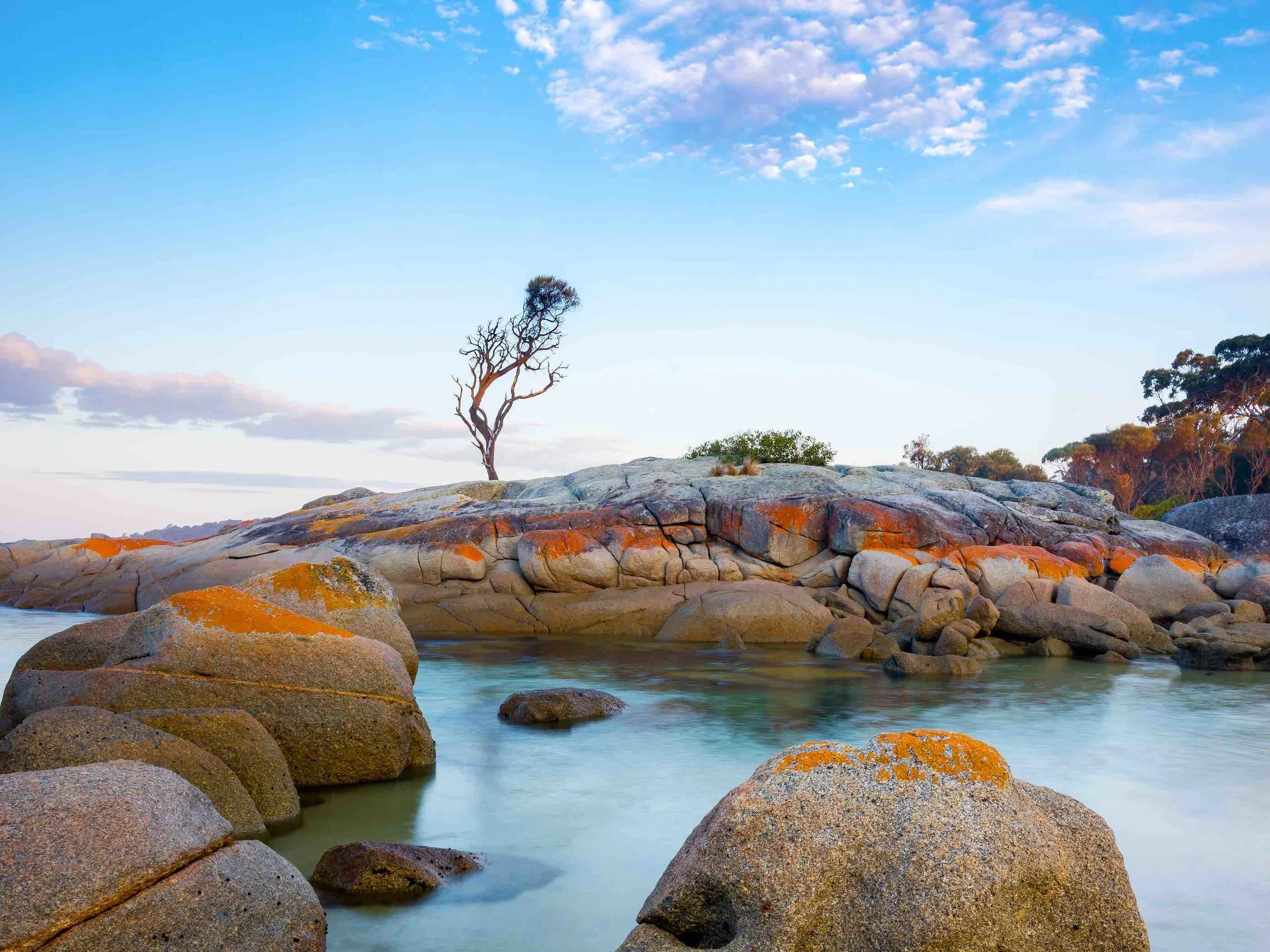 Aurora Migration Consulting Bay of Fires Tas.jpg