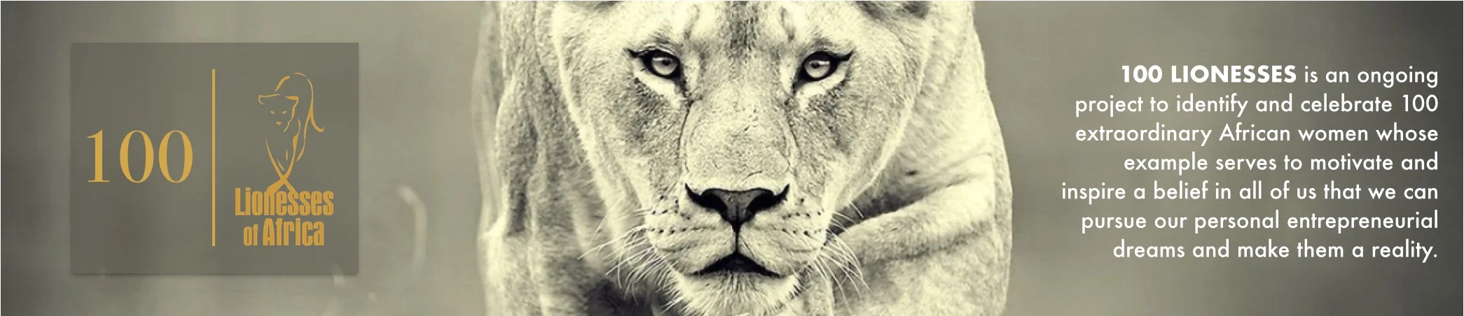 100-LIONESSES-Banner.jpg