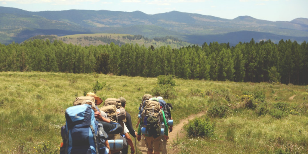 Fellow travellers and their influence on your wealth