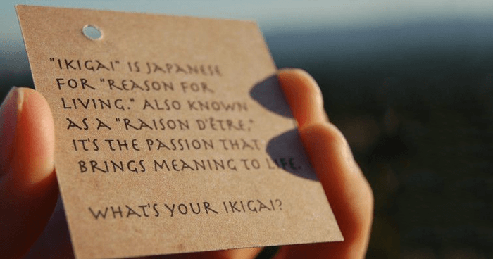 Finding your Ikigai. And, why it is so important as an entrepreneur.