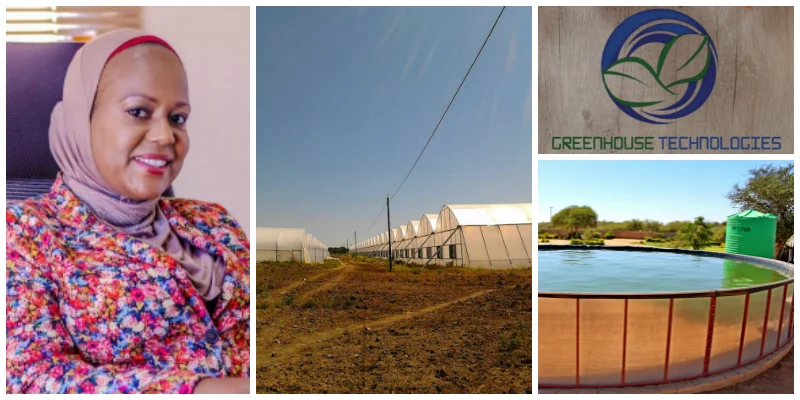 Amanda Aminah Masire, founder of Greenhouse Technologies (Botswana)