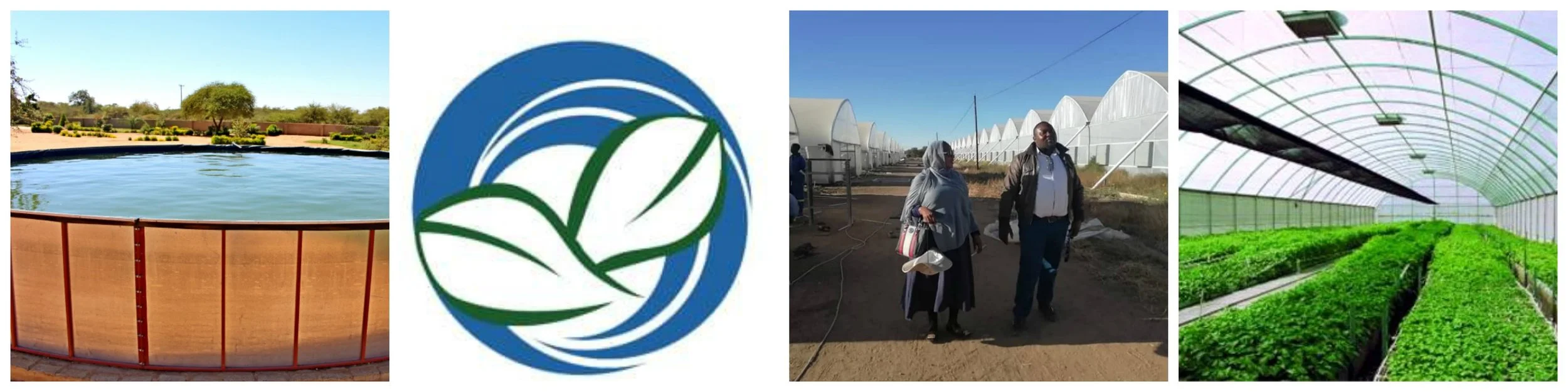 Greenhouse-Tech-Collage-3.jpg