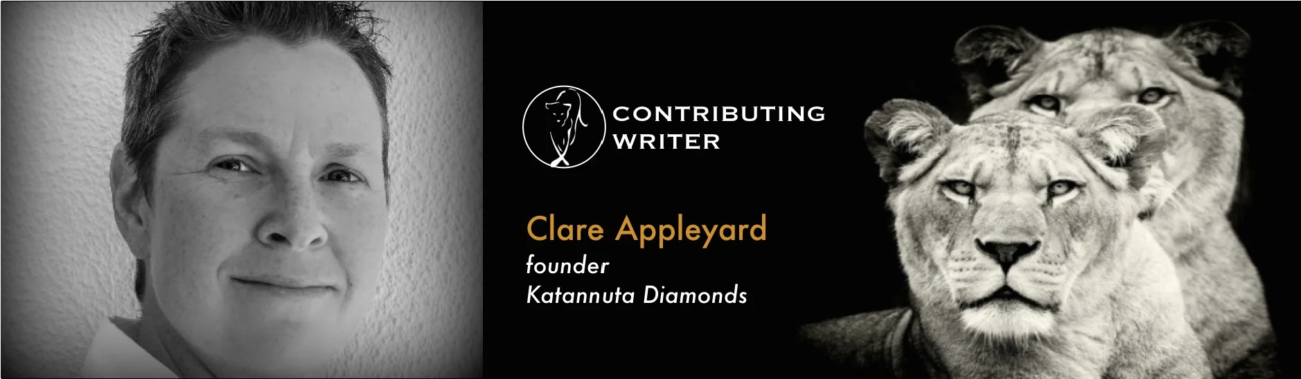 Clare-Appleyard-Banner.jpg