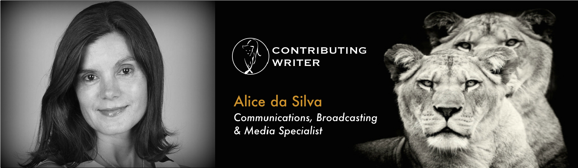Alice da Silva-Banner.png