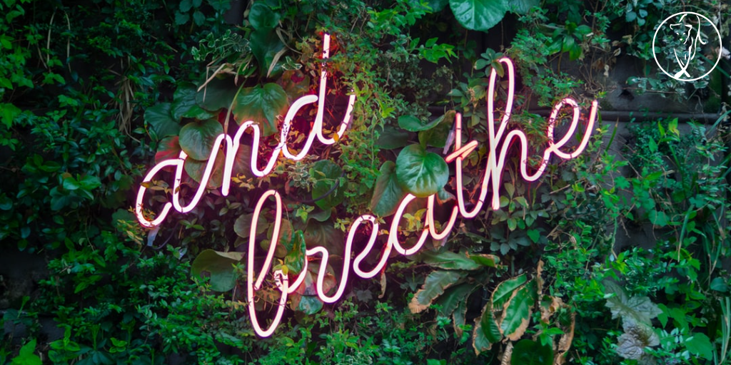 10 simple ways to truly relax (for busy, stressed entrepreneurs)