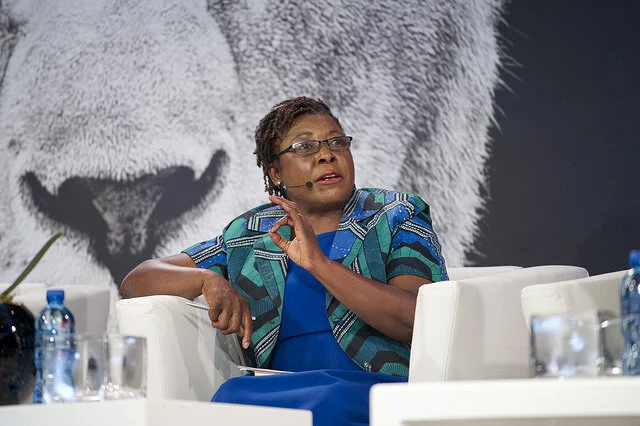 Divine Ndhlukula, Africa's queen of security