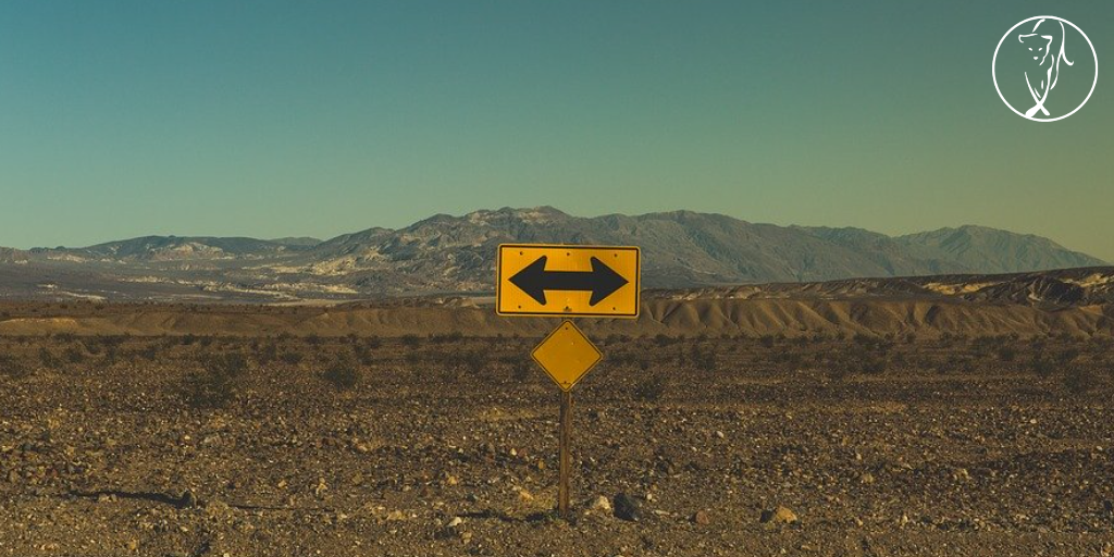 The Unexpected Secret of Business Success