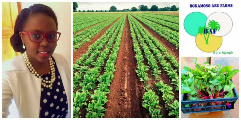 Abueng Leepile, a South African agripreneur providing healthy and delicious vegetables to the country&nbsp;