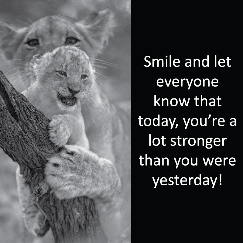 Lioness 1.jpg