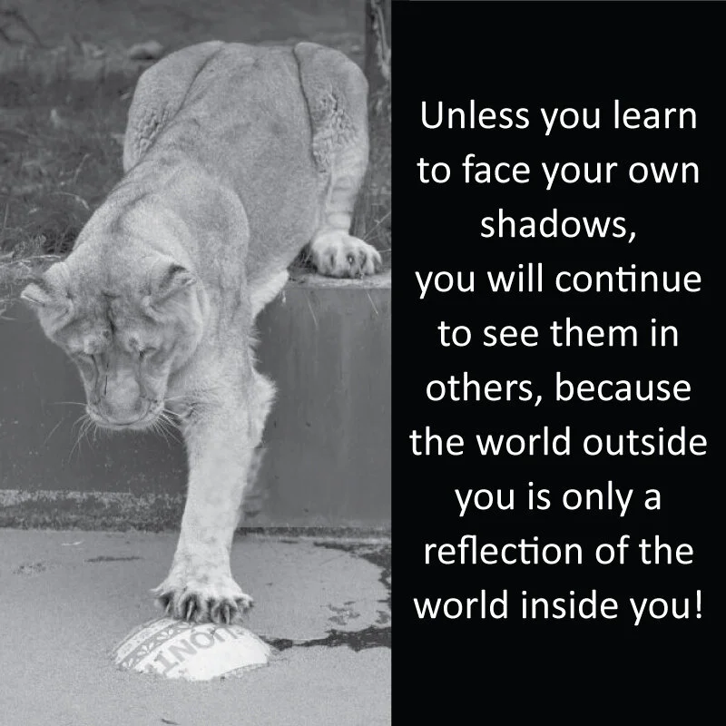 Lioness 6.jpg