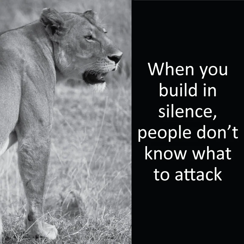Lioness 12.jpg