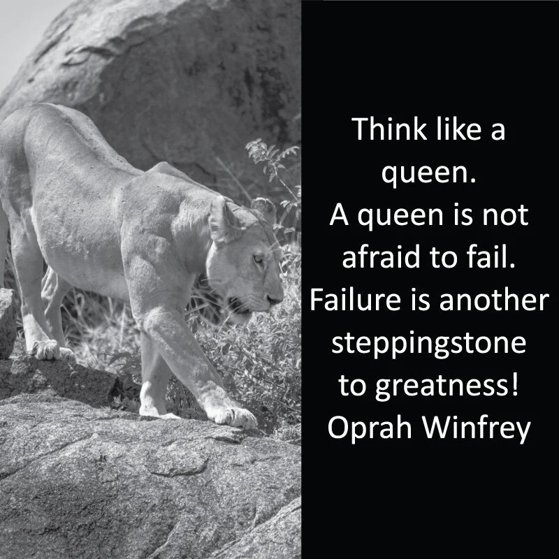 lioness 13.jpg