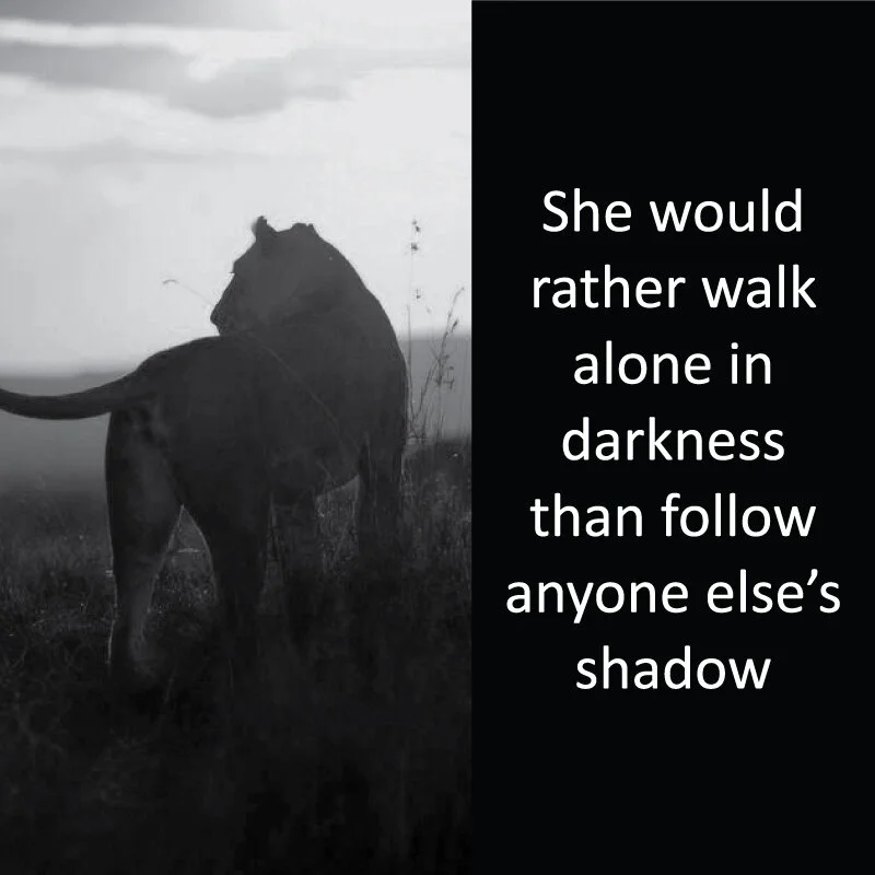 Lioness 18.jpg