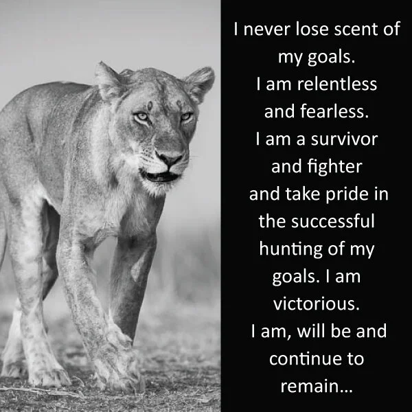 Lioness 22.jpg
