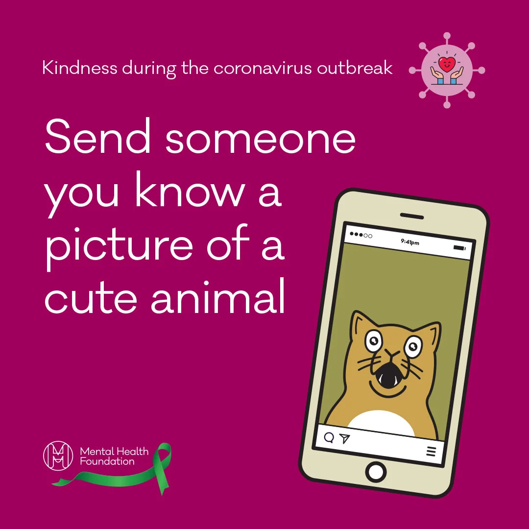 Kindness-Coronavirus-CuteAnimal.jpg