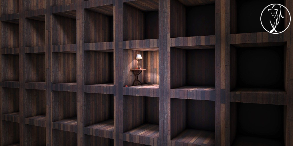 Confinement and the mind