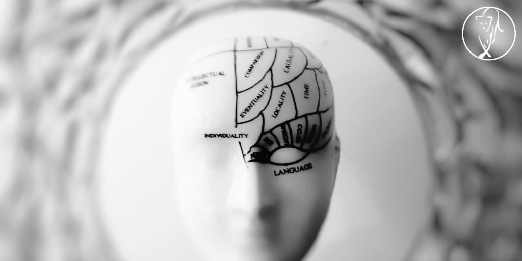 A Career or Business Pivot&nbsp;