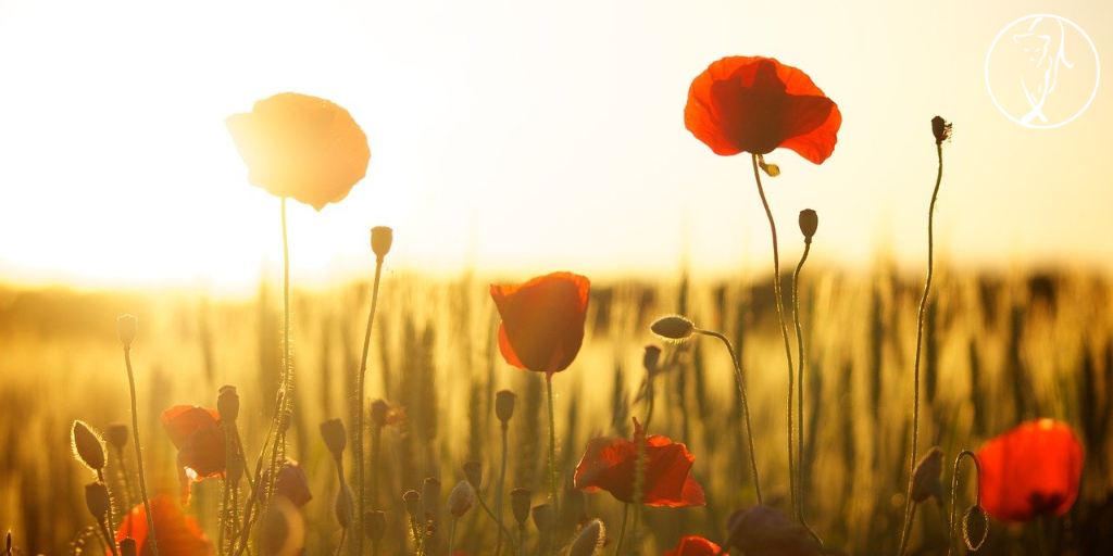 A time for honest reflection&nbsp;