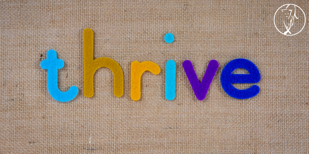Top 5 things that I’ve been doing for myself during the pandemic that will make my business thrive