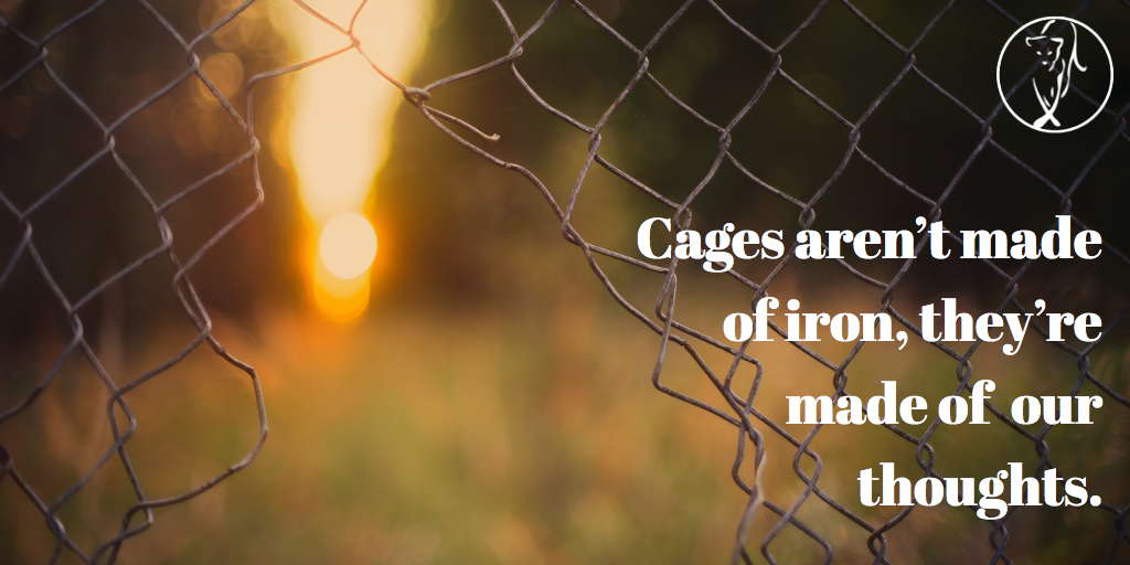 The Cages We Live in!