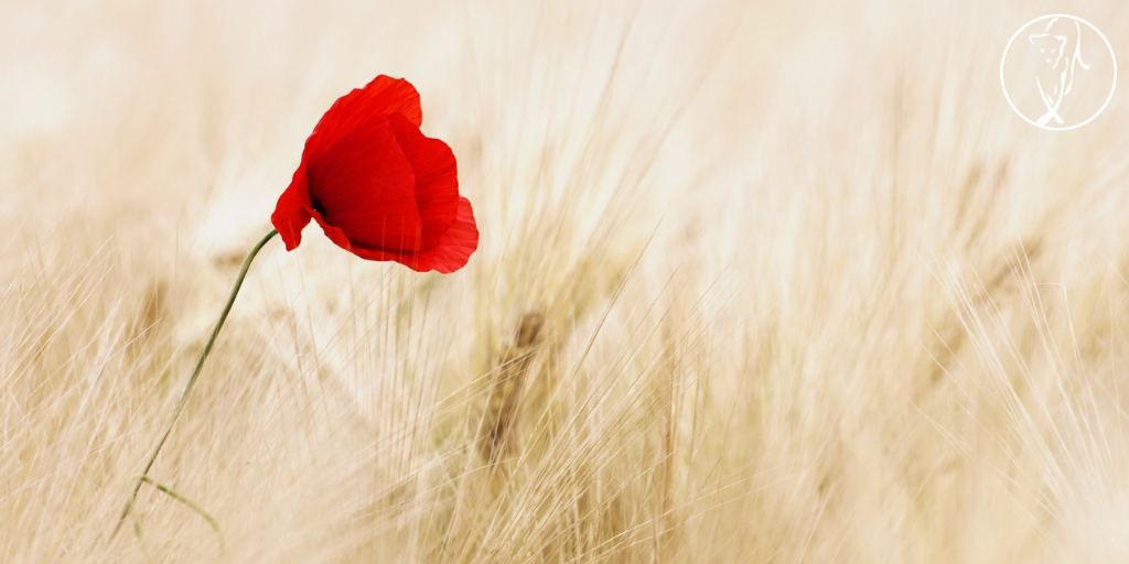 The Hidden Strengths of Learning and Succeeding at Your Own Pace