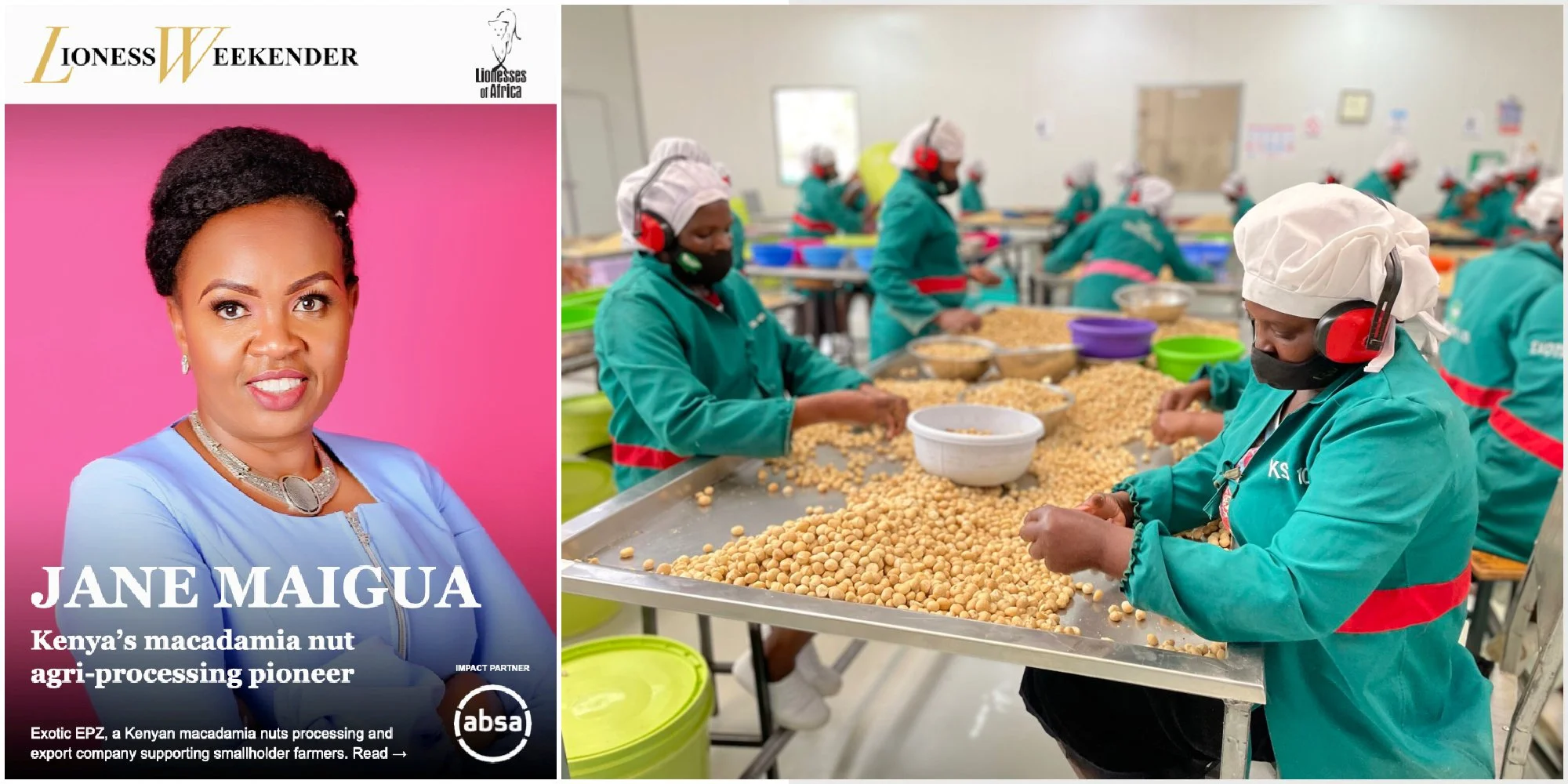 Jane Maigua, Kenya’s macadamia nut agri-processing pioneer