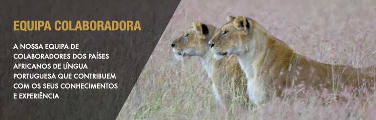 Equipa-colaboradora-banner.001.png