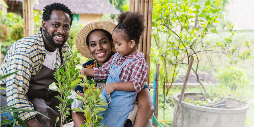 Let’s trade, shall we? Part 3: Family structures in business