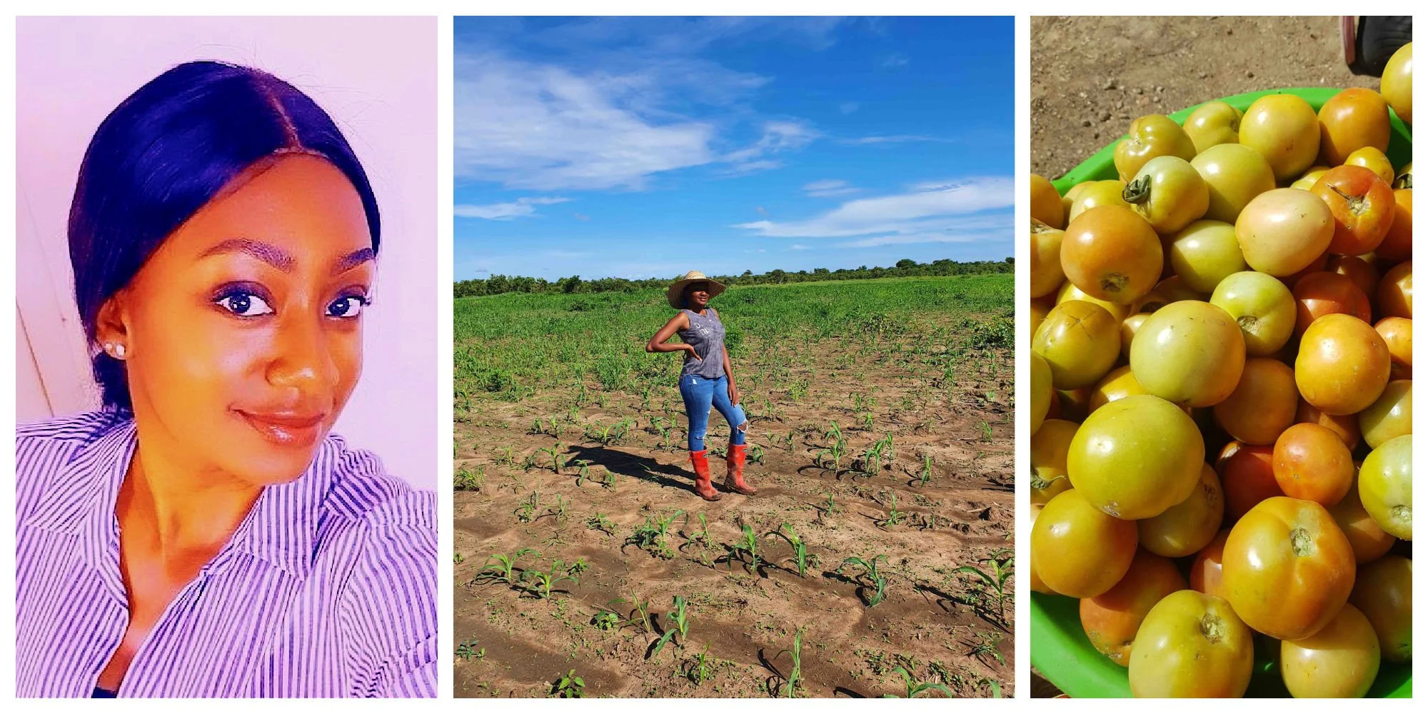 Doreen Michelo, a Zambian agripreneur addressing food security through affordable locally grown farm produce