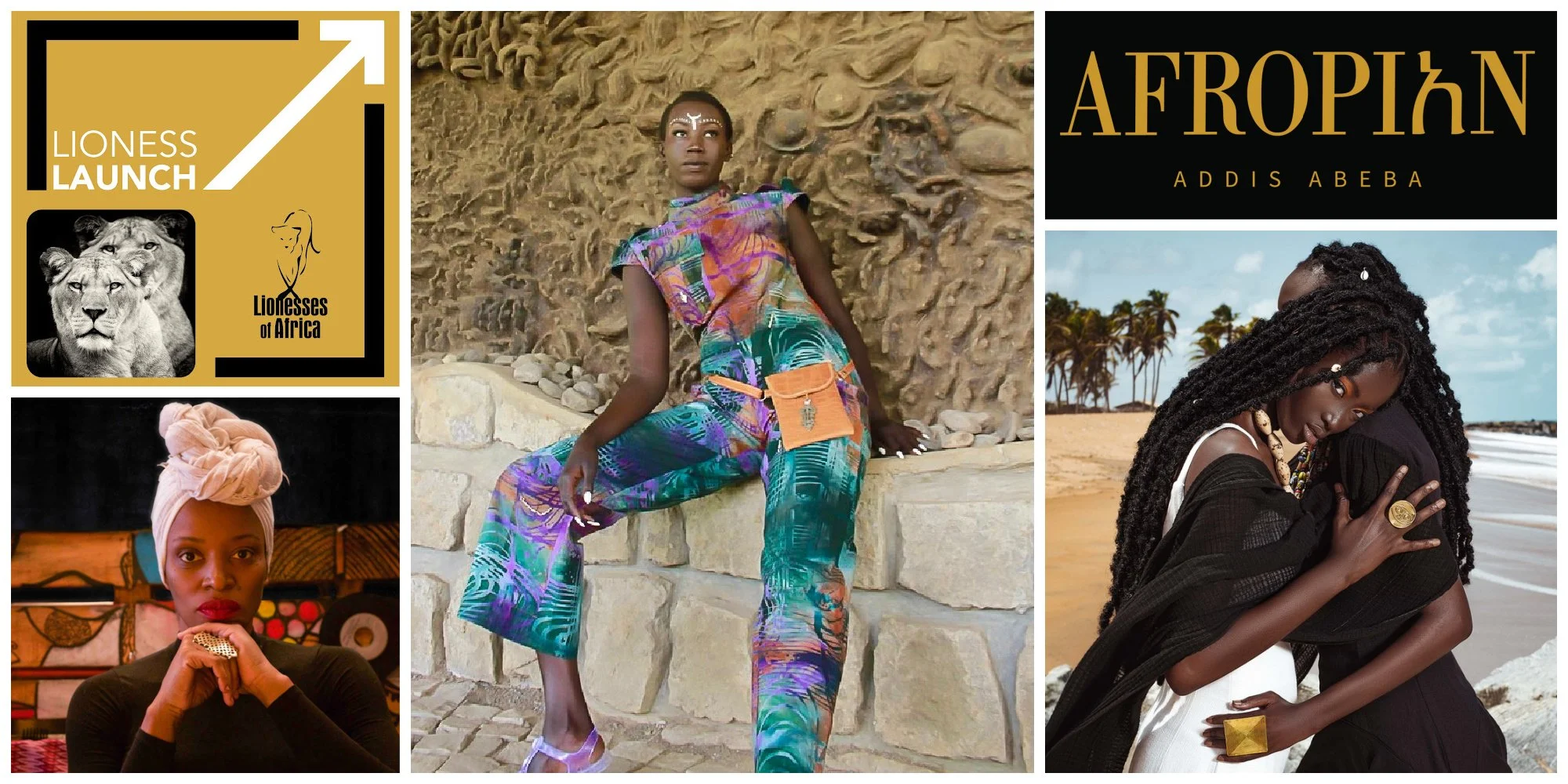 LIONESS LAUNCH:&nbsp;Pan-African lifestyle brand, Afropian, launches its exciting new website 