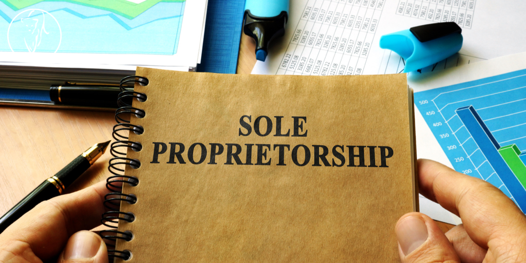 Is a Sole Proprietorship the right vehicle for your business? 