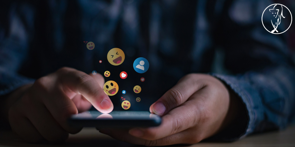 The Reluctant Executive: Making Sense of Social Media